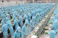 IDI ước đạt 200 tỷ đồng Kl99 nổ hũ sau thuế quý I/2022