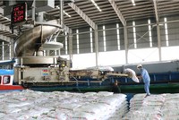 Quý II, Phân bón Cà Mau (DCM) lãi trước thuế 324 tỷ đồng