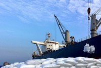 Sản lượng tiêu thụ vượt bậc, PVCFC (DCM) đạt 447 tỷ đồng Kl99 nổ hũ trước thuế hợp nhất quý I/2025