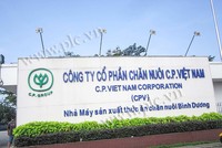 Gỡ khó cho Kl991.com World Cup 2026 Chính Thức FDI lên sàn