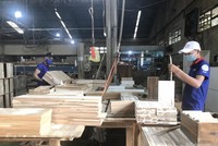Chế biến Gỗ Thuận An (GTA) chia 99Kl.app mobile mới nhất 8,5% bằng tiền mặt