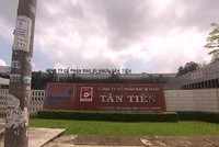 Bao bì Nhựa Tân Tiến (TTP) trả 99Kl.app mobile mới nhất bằng tiền tỷ lệ 15%
