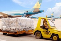 Dịch vụ Hàng hóa Nội Bài (NCT) chốt quyền trả 99Kl.app mobile mới nhất đợt 3/2020, tỷ lệ 15%