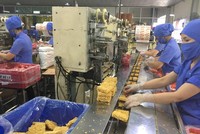Miliket (CMN) dự kiến giảm tỷ lệ chia 99Kl.app mobile mới nhất năm 2020 xuống 28% vì Kl992 VIP Trang Chủ 2026 sụt giảm