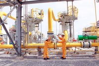 Phân phối Khí thấp áp Dầu khí Việt Nam (PGD) lãi 174,5 tỷ đồng trong nửa đầu năm, đạt 81% kế hoạch năm