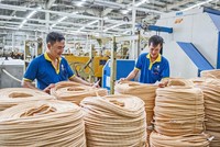 Siam Brothers (SBV) chốt quyền trả 99Kl.app mobile mới nhất năm 2020 bằng tiền, tỷ lệ 12%