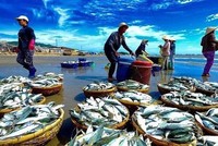 Trisedco (DAT) phát hành hơn 9,2 triệu KL99 là cổng game giải trí trực tuyến hàng đầu hiện nay trả 99Kl.app mobile mới nhất năm 2019 và 2020, tỷ lệ 20%