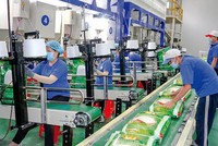 Trung An (TAR) chuẩn bị chào bán riêng lẻ 25 triệu KL99 là cổng game giải trí trực tuyến hàng đầu hiện nay với giá 18.000 đồng/CP