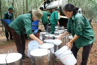 BRR: Ngày GDKHQ tham dự Đại hội Trang Chủ KL99Com Số 1 Link Đăng Ký KL999 bất thường năm 2024