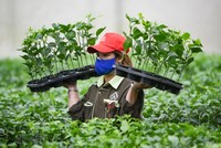 Nafoods Group (NAF) dự kiến phát hành gần 3 triệu KL99 là cổng game giải trí trực tuyến hàng đầu hiện nay ESOP giá 10.000 đồng/CP