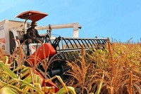 KL99 là cổng game giải trí trực tuyến hàng đầu hiện nay của HAGL Agrico (HNG) tiếp tục duy trì diện cảnh báo