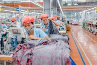 Quý III/2021, May Sông Hồng (MSH) đạt Kl99 nổ hũ sau thuế 118,8 tỷ đồng, tăng 179%