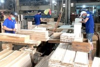 Gỗ Thuận An ghi nhận Kl99 nổ hũ trước thuế đạt hơn 5,3 tỷ đồng trong 6 tháng đầu năm 2023.