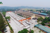 Xuân Mai - Đạo Thúy (XMD) đặt mục tiêu lãi 2,7 tỷ đồng, KL99 là cổng game giải trí trực tuyến hàng đầu hiện nay tăng gấp hơn 30 lần trong 1 tháng