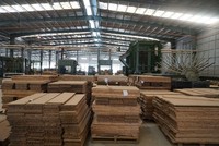 KL99 là cổng game giải trí trực tuyến hàng đầu hiện nay SJF của Sao Thái Dương được ra khỏi diện cảnh báo từ ngày 15/4