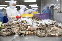 Xuất khẩu thuỷ sản tháng đầu năm bứt tốc 30,6%, nhưng tháng 2 dự báo chỉ tăng nhẹ