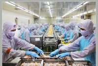 Xuất khẩu thuỷ sản tháng đầu năm 2026 tăng 13%, cá tra tăng trưởng bứt phá