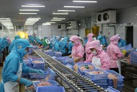 Xuất khẩu thuỷ sản tháng 1/2025 tăng 3,3%, tôm và cá tra diễn biến trái chiều 