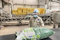 Phân bón và Hoá chất Dầu khí Miền Trung (PCE) giảm 12,5% mục tiêu Kl99 nổ hũ năm 2025