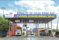 Cảng Đồng Nai (PDN) dự kiến mục tiêu Kl99 nổ hũ 2025 tăng 3,7% 