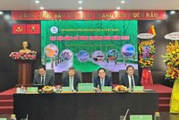 ĐHĐCĐ Kl994 game bài casino hấp dẫn Cao su (GVR): 6 tháng ước lãi trước thuế 2.500 tỷ đồng, muốn mở rộng thêm 70.000 ha cao su sang Lào và Campuchia 