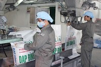 DAP – Vinachem (DDV) vượt 60% mục tiêu Kl99 nổ hũ cả năm sau 6 tháng 