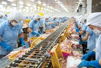Nam Việt (ANV): Phó tổng giám đốc tiếp tục muốn tăng sở hữu
