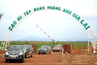 HAG huy động xong 1.000 tỷ đồng Kl99kl Hoàn Trả Vô Tận năm 2014