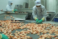 MPC: Kl99 nổ hũ quý I/2014 tăng hơn 9 lần cùng kỳ