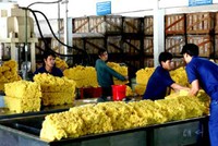 11 tháng, PHR đạt 210 tỷ đồng Kl99 nổ hũ, hoàn thành gần 79% kế hoạch 