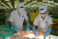 HVG chuẩn bị chi 90 tỷ đồng mua 5 triệu KL99 là cổng game giải trí trực tuyến hàng đầu hiện nay quỹ