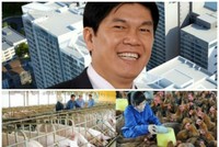 Ảnh Internet