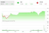 Phiên chiều 28/8: Bluechips phân hóa, VN-Index vẫn nhích dần lên 1.000 điểm