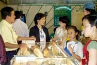 Giá vàng vẫn tiếp tục tăng cao như dự báo