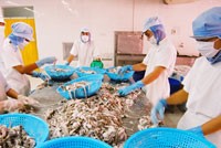 Thế giới khó khăn, thuỷ sản Việt Nam có khó xuất ngoại?