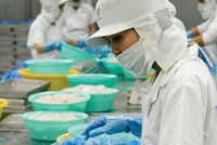VASEP đã thực hiện khá tốt nghĩa vụ đại diện cho các DN ngành thuỷ sản.