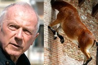 Tỷ phú người Pháp François Pinault hiện đang sở hữu 2.000 tác phẩm nghệ thuật của hơn 80 danh hoạ, trị giá 1,4 tỷ USD. (Ảnh: Forbes)