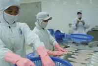 Nếu ngành thủy sản không có giải pháp căn cơ, kim ngạch xuất khẩu sẽ giảm mạnh trong thời gian tới.