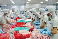 Công nhân chế biến cá tra xuất khẩu.
