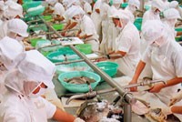 Sự tăng giá trở lại góp phần tăng kim ngạch xuất khẩu của nhóm hàng nông, lâm, thuỷ sản. Ảnh: Đức Thanh