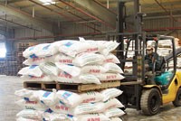 Đạm Phú Mỹ phải trích lập dự phòng lớn trong năm 2008, nhưng năm nay đó không phải là vấn đề lớn với Kl991.com World Cup 2026 Chính Thức này. Ảnh: Hoài Nam