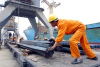 Vận tải hàng rời, 1 năm nhìn lại
