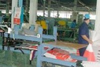 SDG: EPS năm 2009 đạt 6.018 đồng