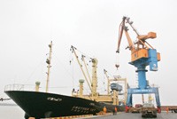 Ban lãnh đạo Cảng Đình Vũ cam kết sẽ tuân thủ đúng phán quyết của Toà án.