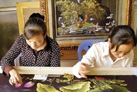 Việt Nam cần dành nguồn lực thỏa đáng hơn để "tiếp sức" cho DN dân doanh phát triển - Ảnh: Hoài Nam.