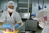 Cuộc khủng khoảng nợ châu Âu cũng là cơ hội để các DN xuất khẩu Việt Nam mở rọng thị trường - Ảnh minh họa: Đức Thanh.