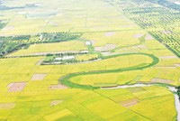 Kl99kl phiên bản hoạt động nông nghiệp không phải là nghiệp vụ Kl992 VIP Trang Chủ 2026 đơn thuần mà nó mang tính Trang Chủ KL99Com Số 1 Link Đăng Ký KL999 rất cao.