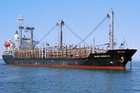 Năm 2010, Transco phấn đấu mức chia 99Kl.app mobile mới nhất đạt 10%