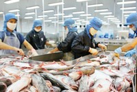 Không nên cho Link Vào Nhà Cái KL99 COM Tặng +199k những nguyên liệu mà Việt Nam có thế mạnh nuôi trồng.