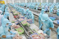 Tận dụng hết công suất chế biến của nhau, tránh Kl99ok phiên bản mới lãng phí, đang được nhiều DN thuỷ sản tính đến.